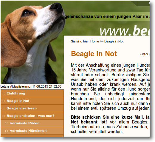 Beagle in Not