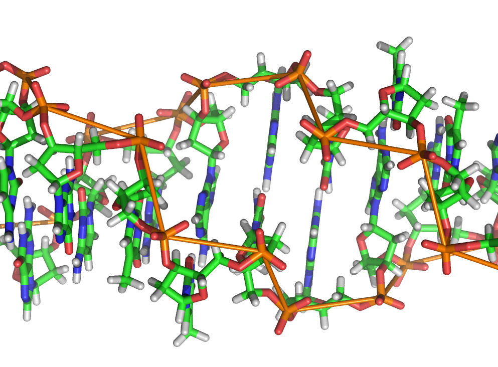 DNA nicht rausgeben
