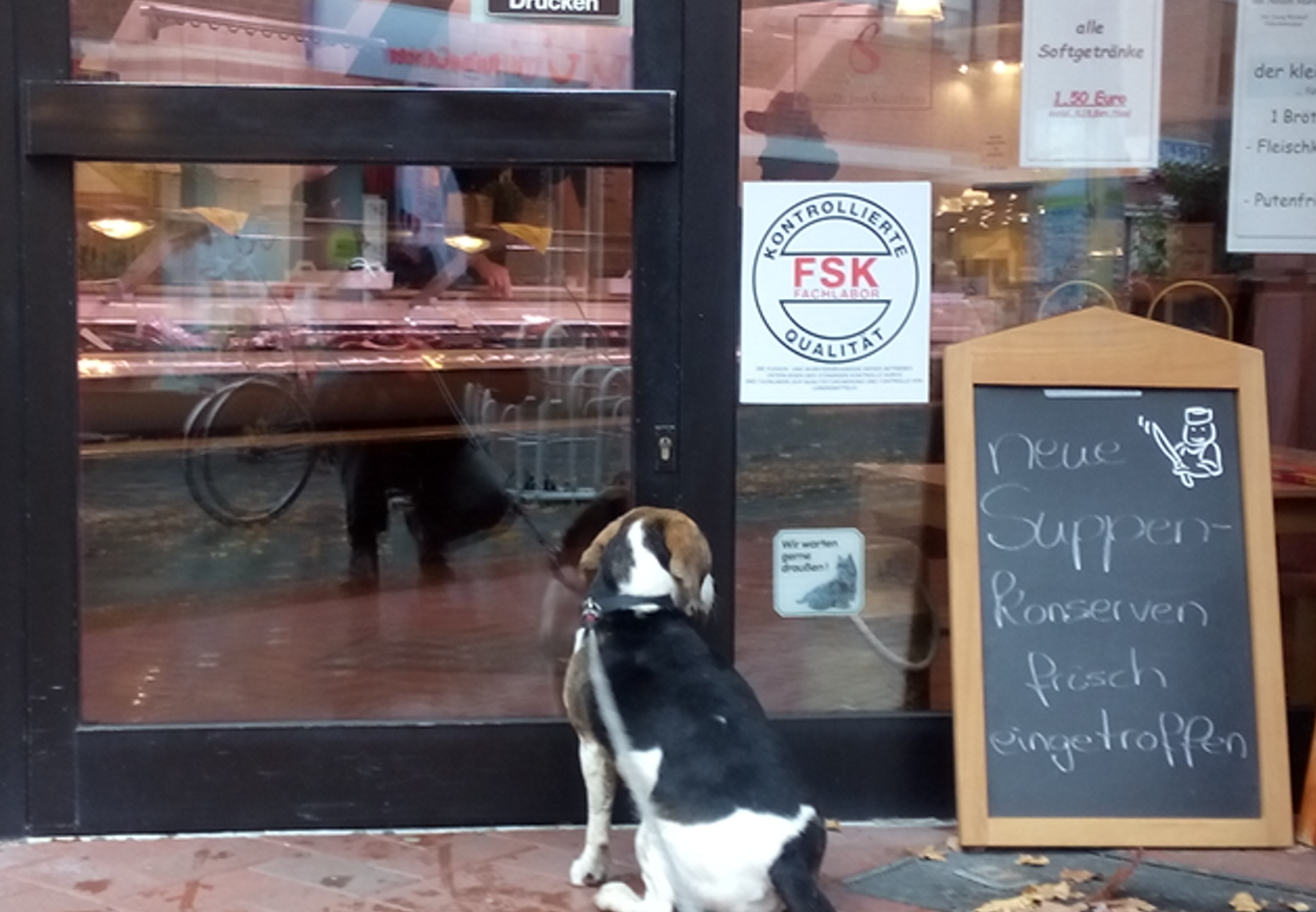 Hunde warten nicht gerne