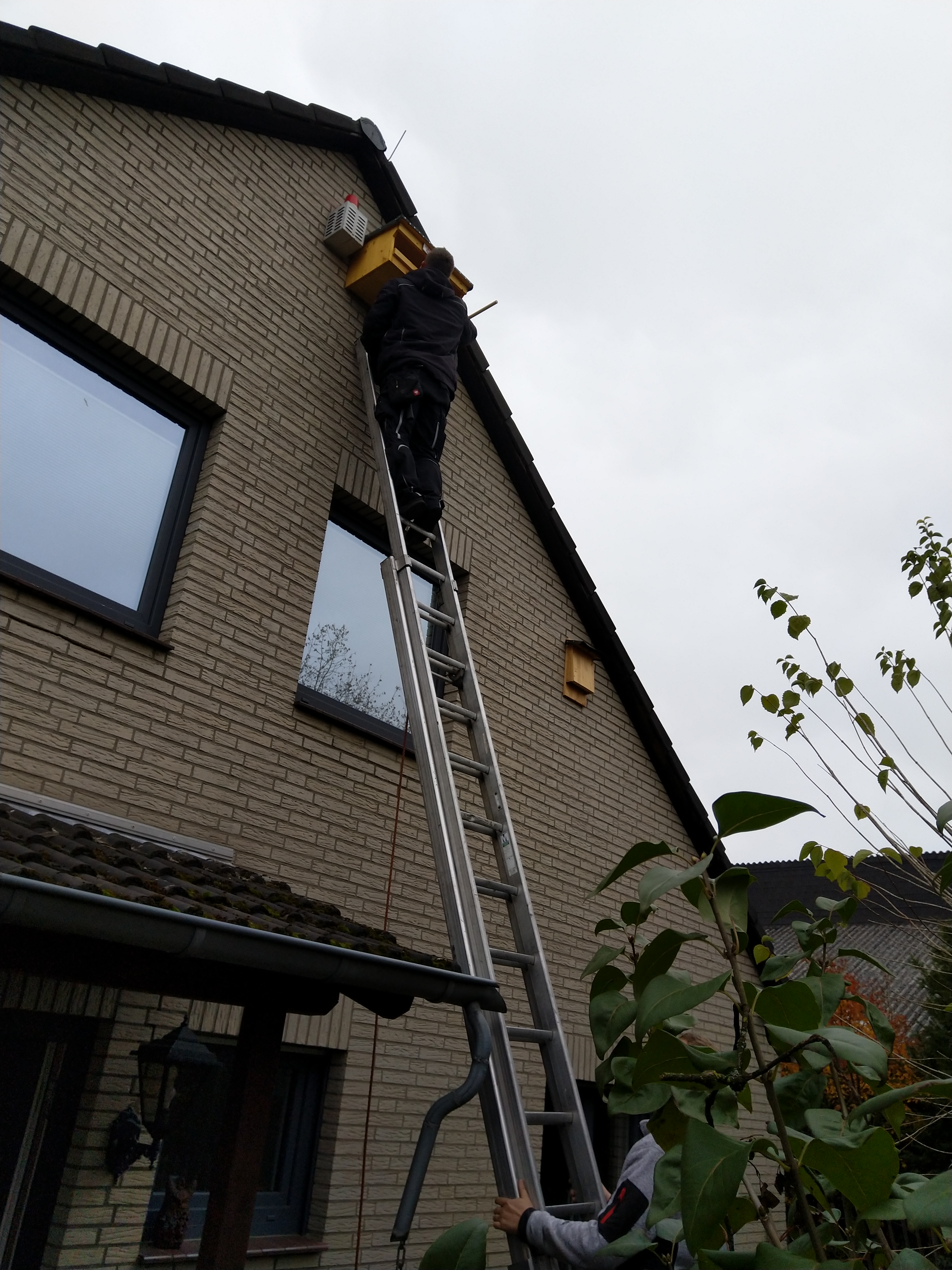 Turmfalkenkasten mit Dachhandwerk Degen