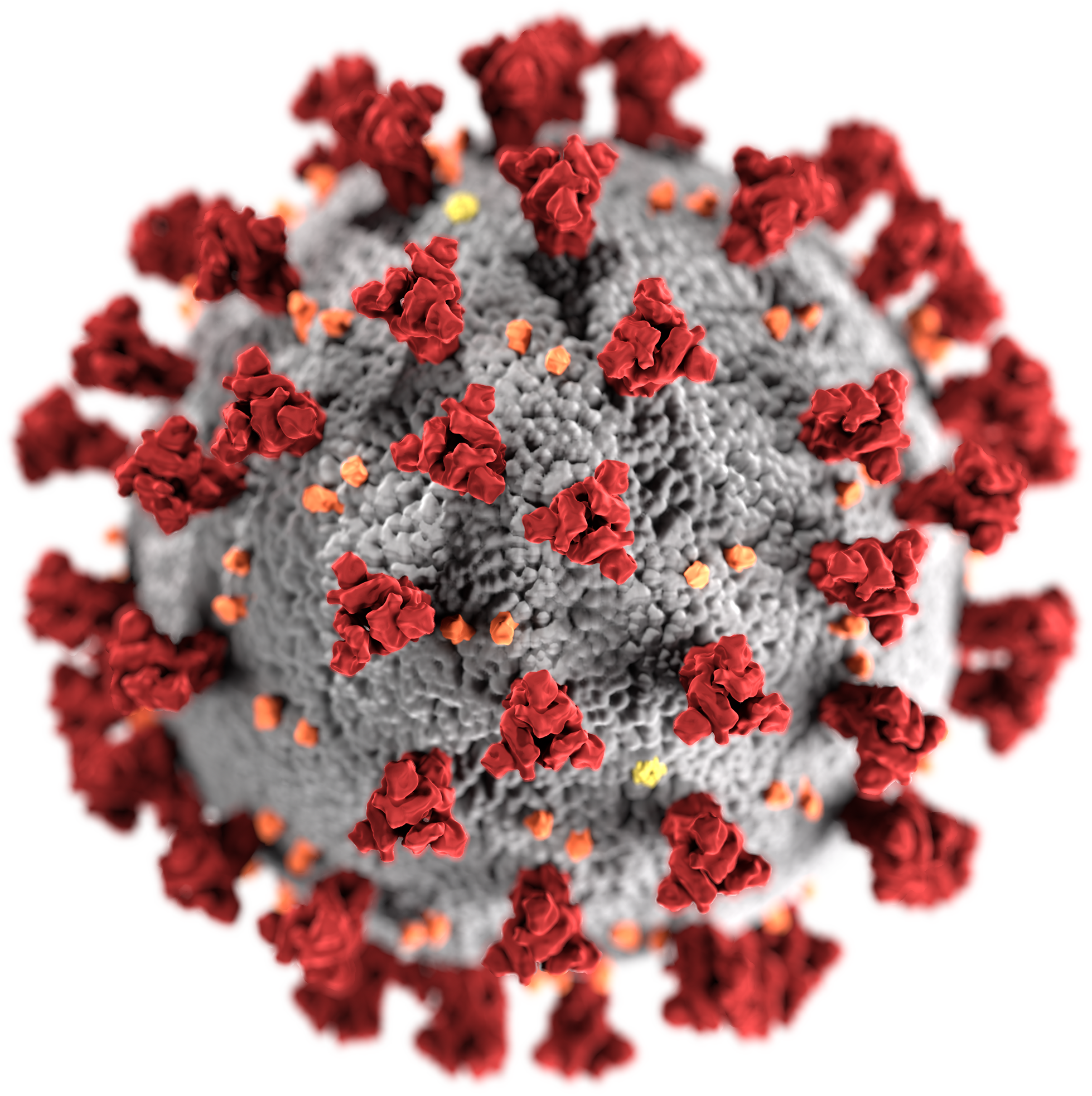 Covid Virus