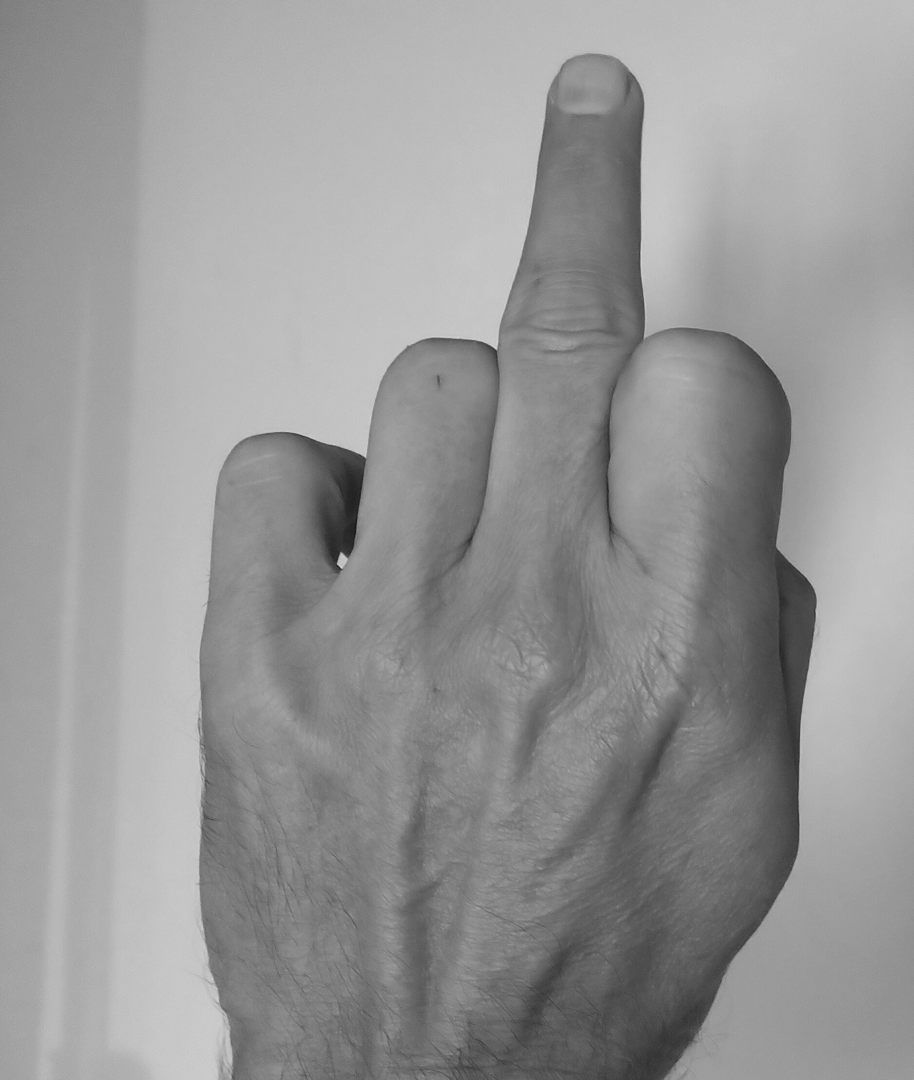 Mittelfinger