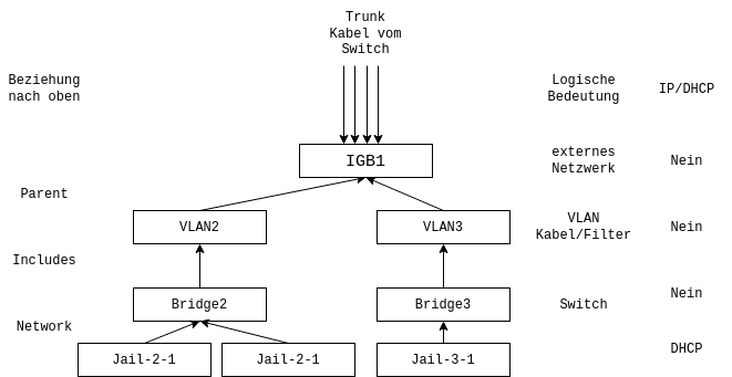 Architekturbild von VLANs in Truenas Jails 
