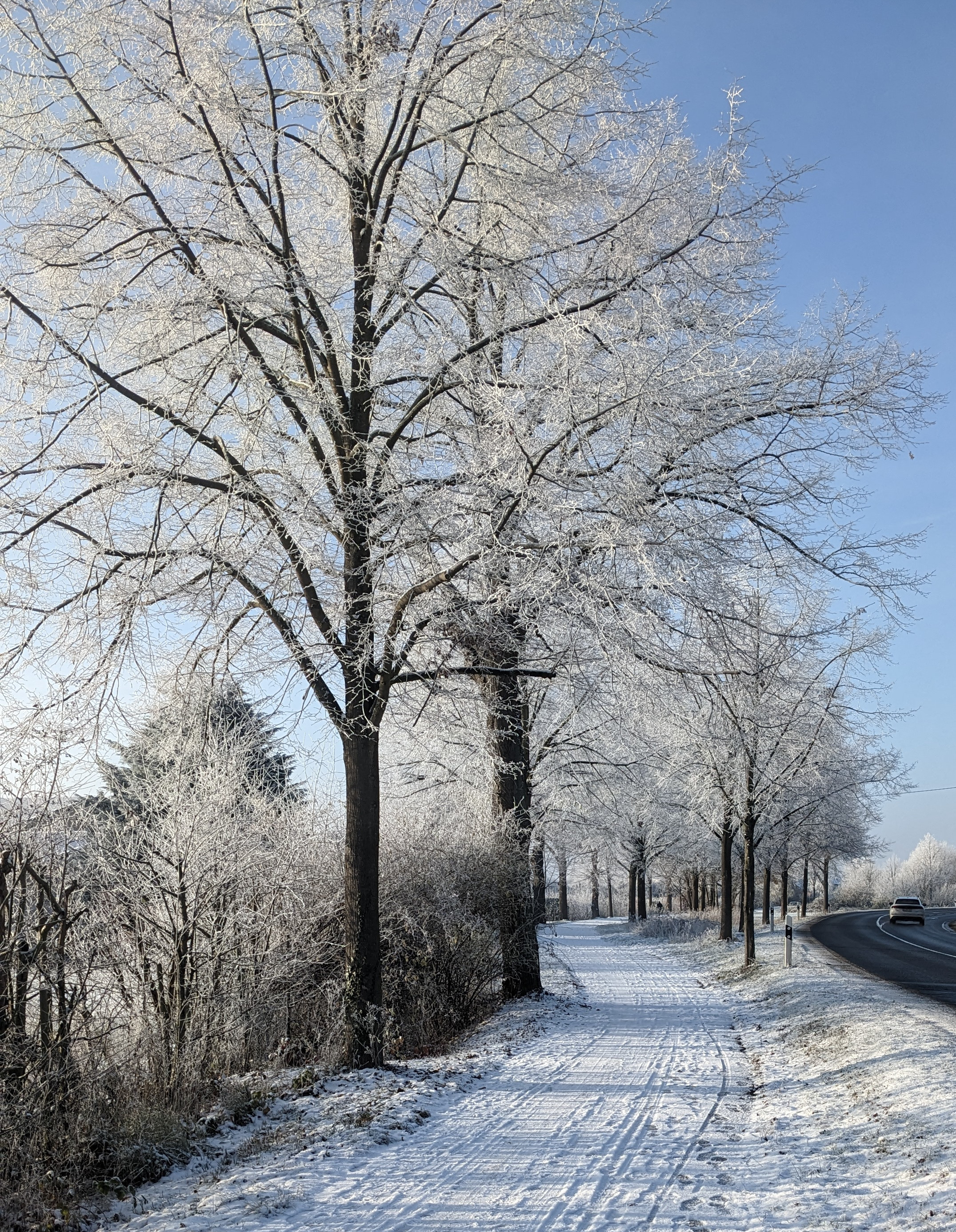 Winterlandschaft mit vereisten Bäumen und Schnee