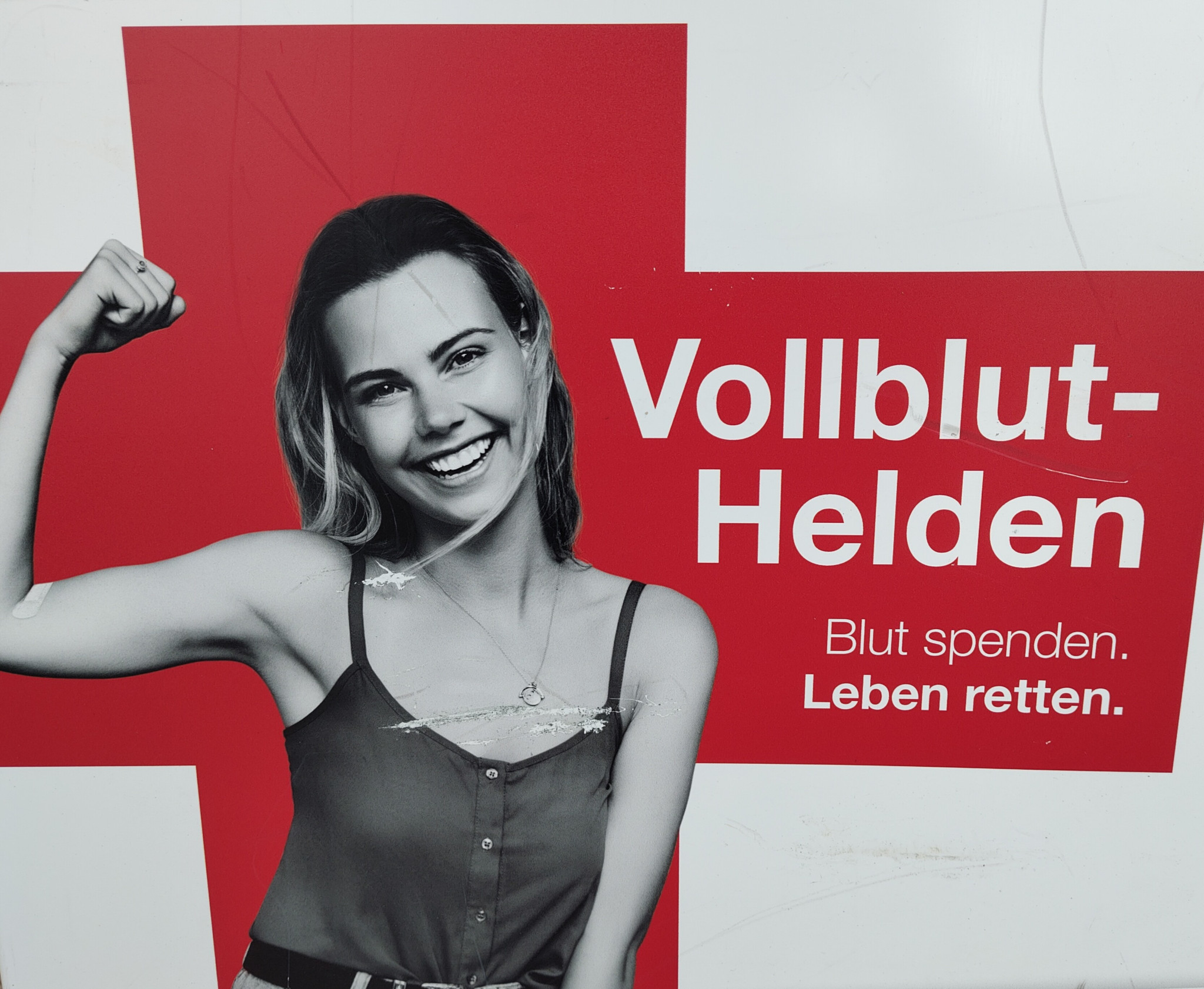 Bild Vollblut-Helden Blutspende