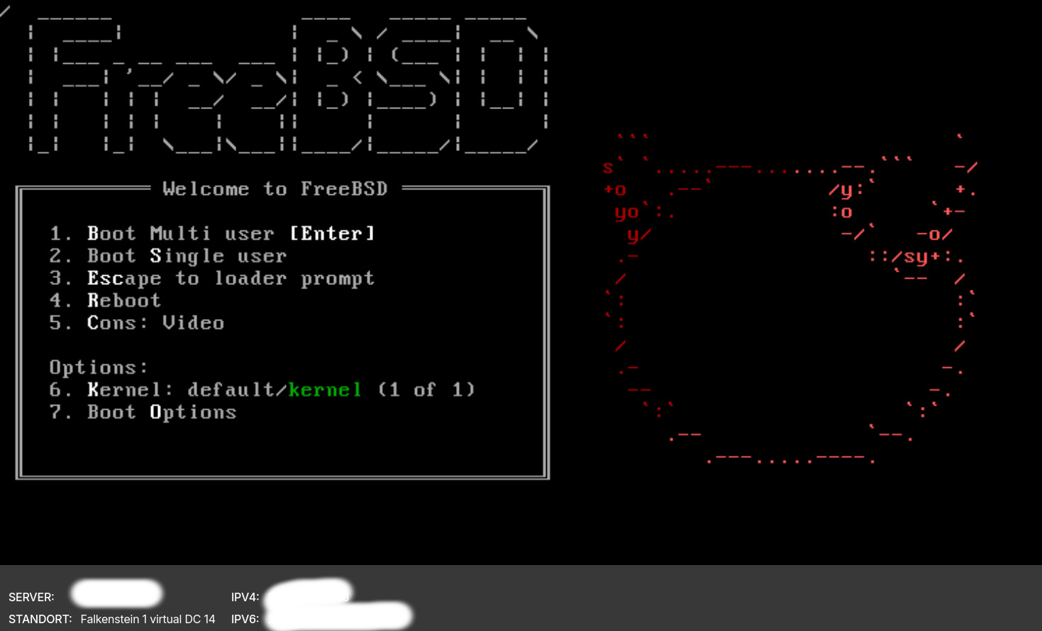 Screenshot einer FreeBSD VPS Umgebung