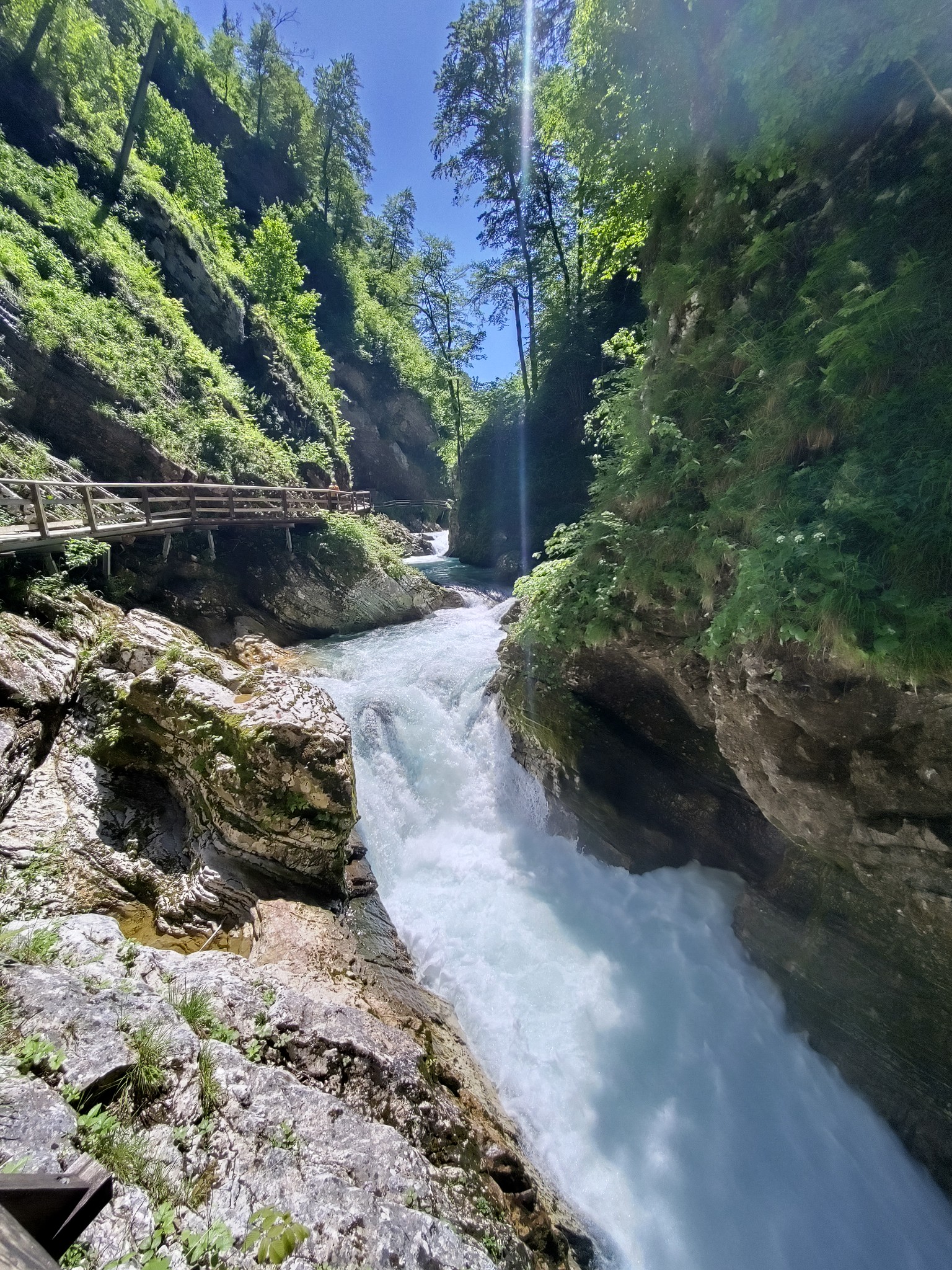 Ein rauschender Bach in einer Klamm