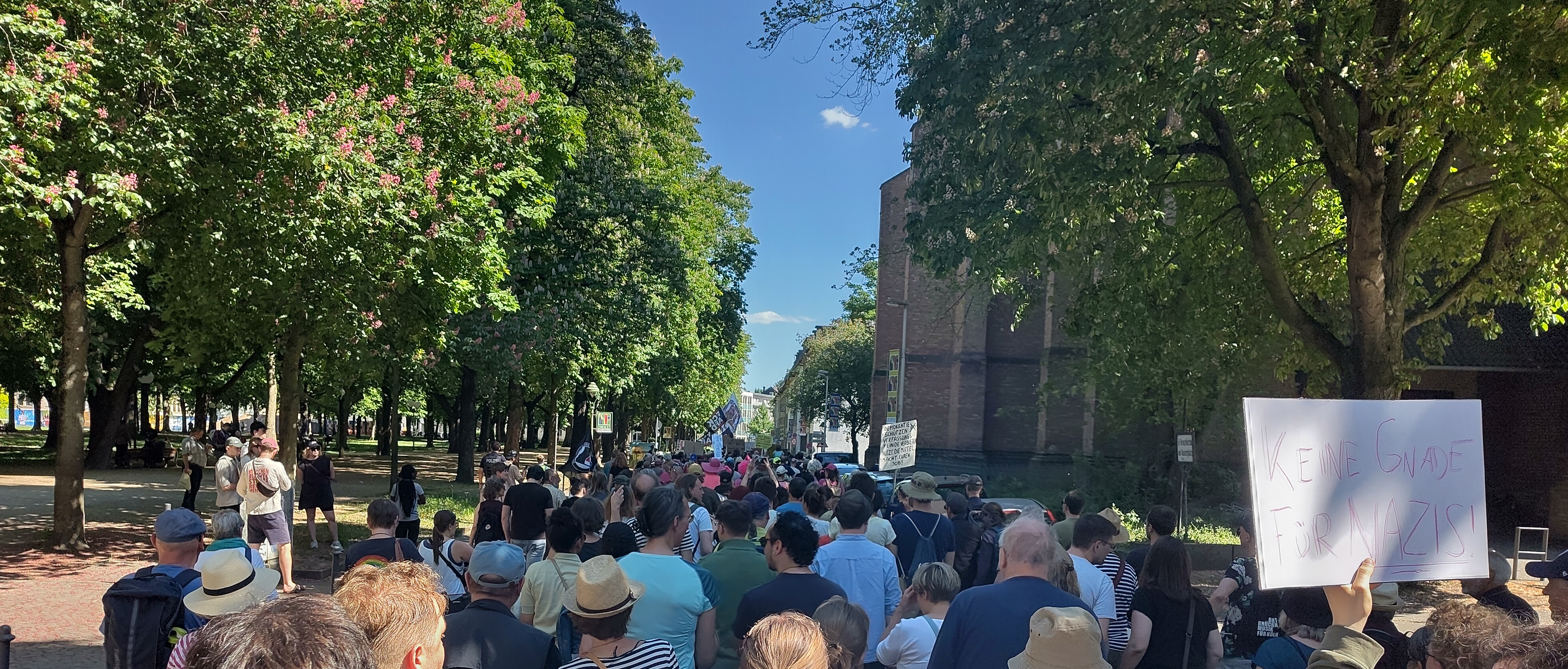 Demonstration für ein AFD Verbot in  Bonn