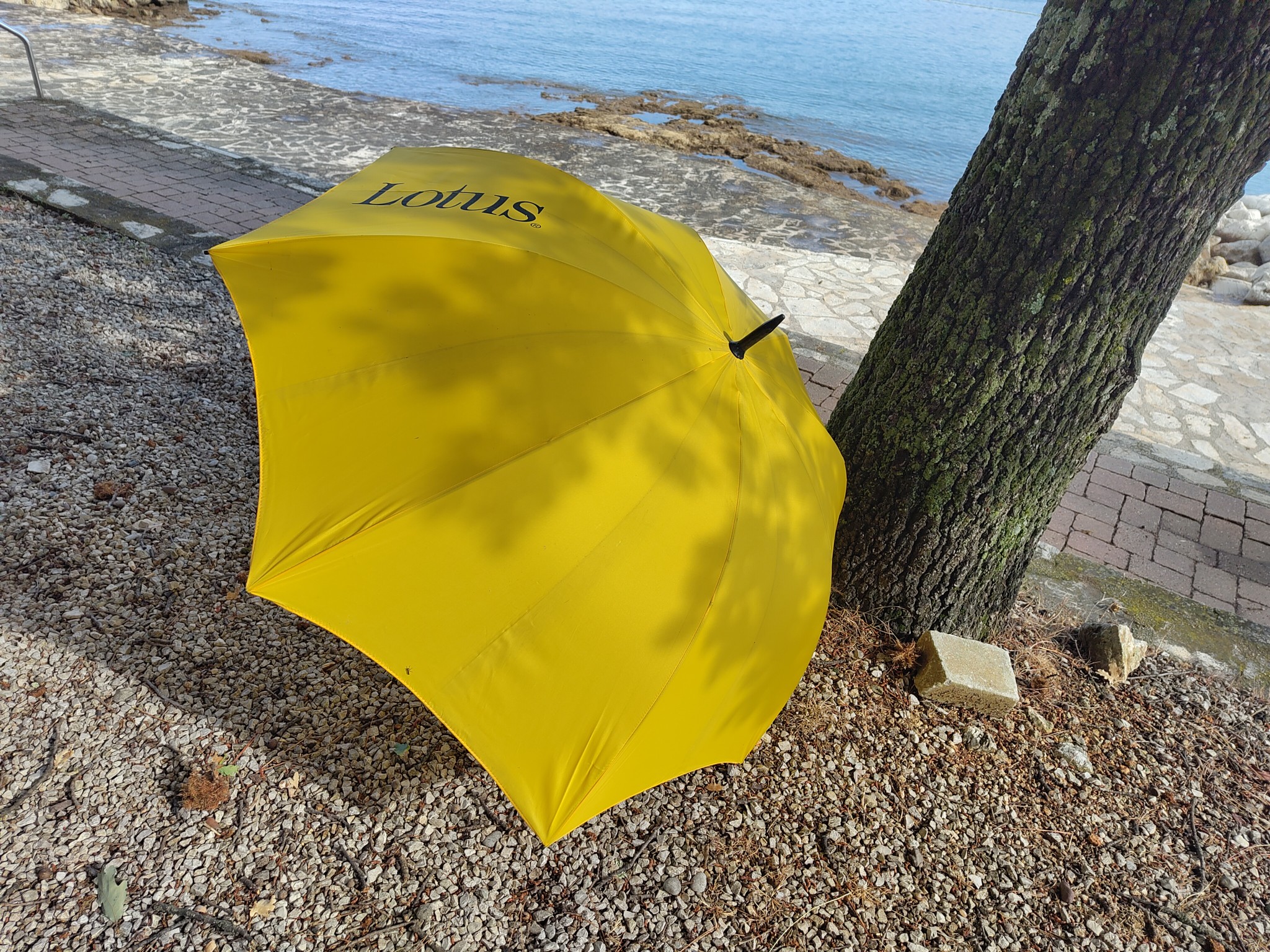 Ein gelber Schirm mit Lotus Schriftzug