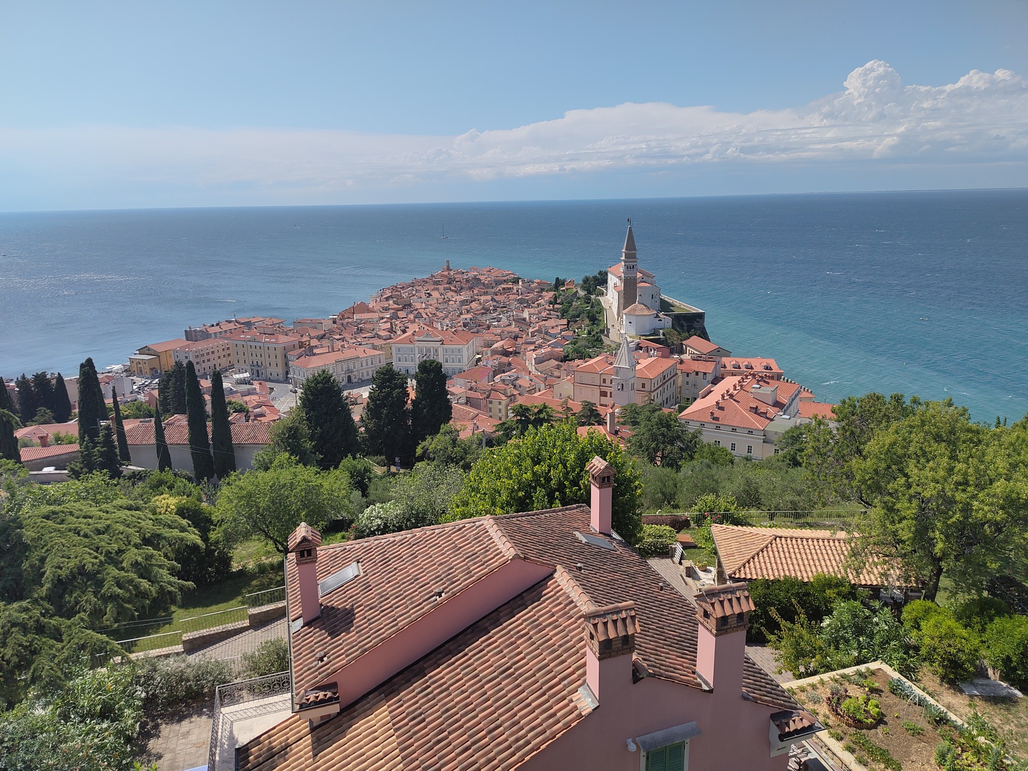 Blick auf die Stadt Piran