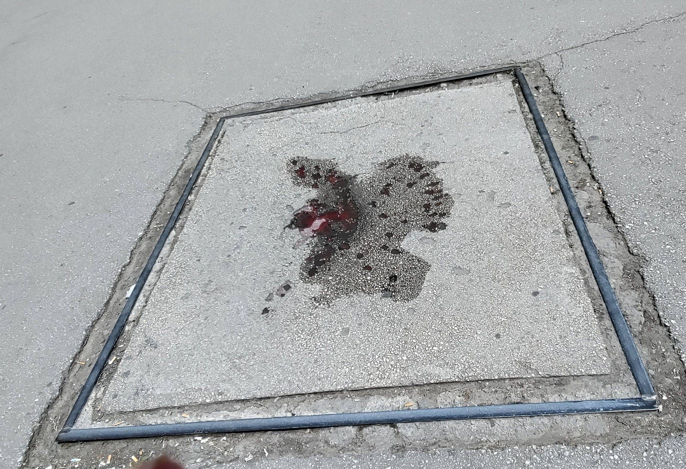 Eine Rose von Sarajevo