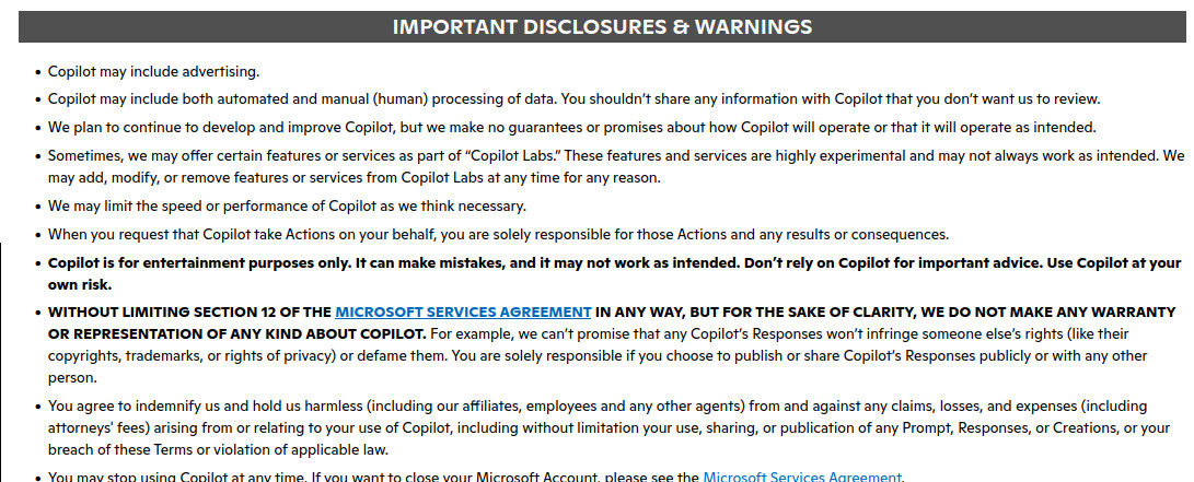 Screenshot der Copilot Lizenzbedingungen