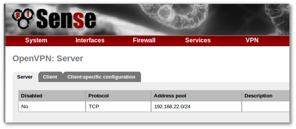 201004-pfsense-openvpn1.png