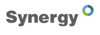 201009-synergy-logo.gif