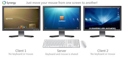 201009-synergy2.jpg