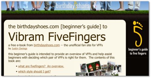 201111-vff-beginners-guide.png