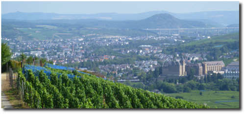 201209-rotweinwanderweg0.png