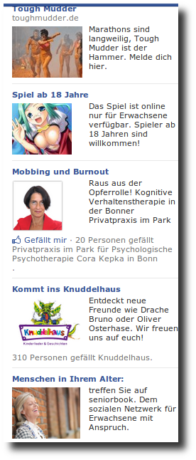 201303-facebook-werbung.png