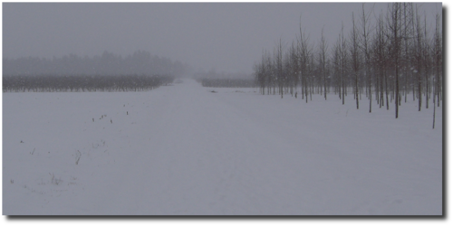 201303-lontra-ls-snow2