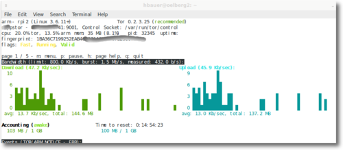 201312-tor-node.png