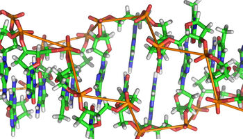 DNA nicht rausgeben