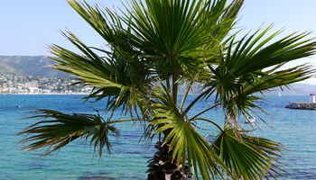 Urlaub im Herbst
