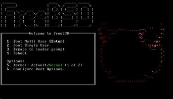 FreeBSD