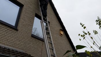 Turmfalkenkasten mit Dachhandwerk Degen