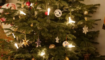 WeihnachtsbauM