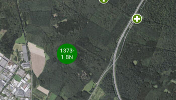 App Hilfe im Wald
