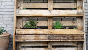 Beet aus Paletten an der Wand