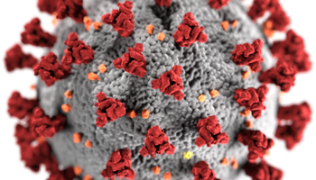 Covid Virus
